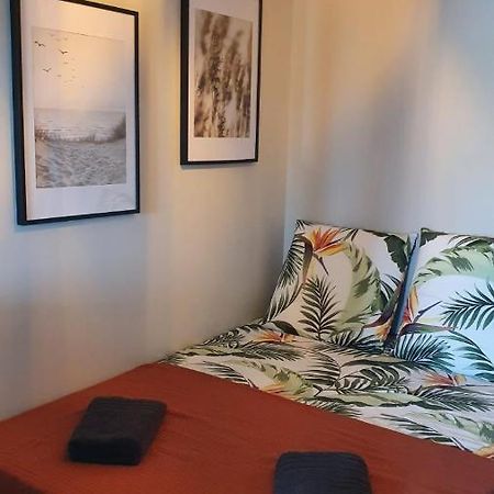 Tropical - Appt Climatise - Proche Plage - Aquarium - Parking - Wifi Canet-en-Roussillon Exteriör bild